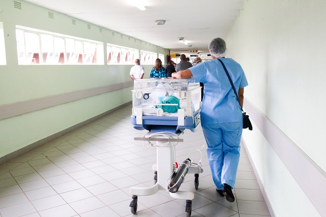 Niemowlę z inkubatorze prowadzone korytarzem szpitala