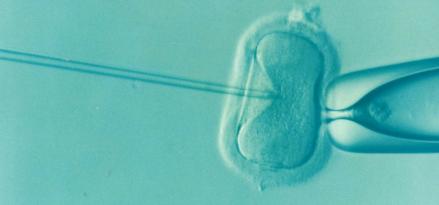Próba zapłodnienia metodą in vitro